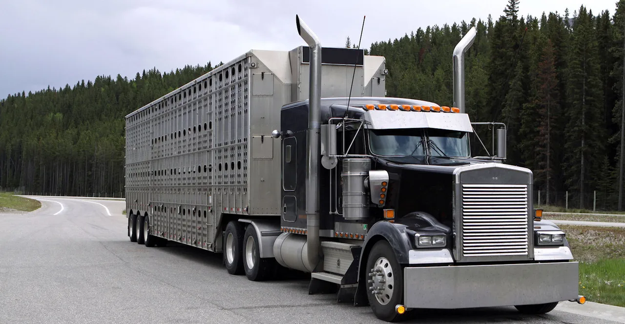 Livestock trucking — South Dakota trucking operations