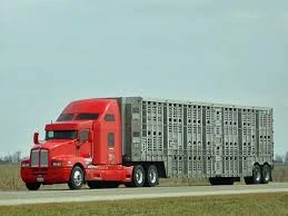 Livestock trucking — Livestock Hauling Insurance from Truck Guard Insurance
